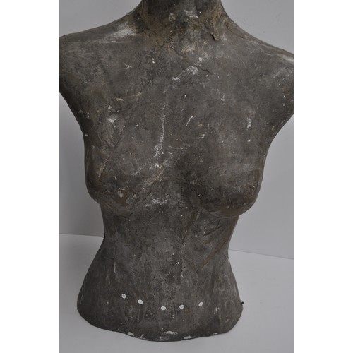 142 - Plaster cast of female bust