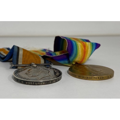 103 - WWI Royal Naval Air Service British War and Victory Medals F.7596 W.H.Motteram A.M.1 R.N.A.S.