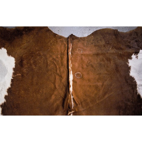 89 - Large Cow Hide rug purchased in Argentina approx. 92inch long, 76inch wide