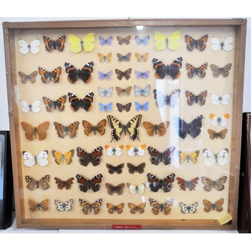 96 - Entomology - Various cased butterflies from Great Britain and from other various countries together ... 