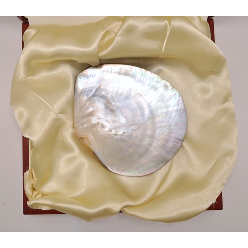 86 - Limited Edition Tahitian Oyster Shell in presentation box, with a certificate and supporting literat... 