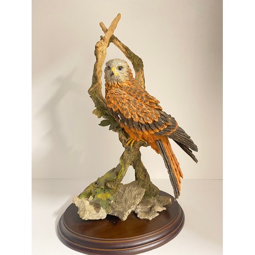 88 - Country Artists Limited Edition Forever Wild, by David Ivey, Red Kite bird of prey, No.442/850 c.199... 