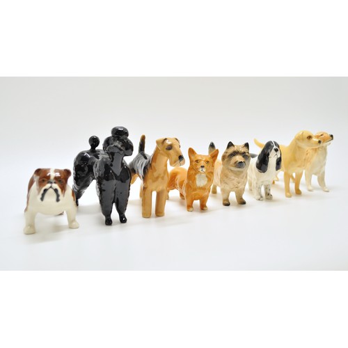 382 - A group of Beswick dogs to include Poodle, Spaniel etc. x8 in total