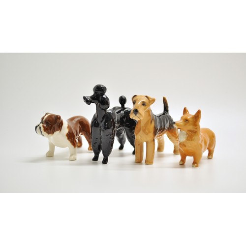 382 - A group of Beswick dogs to include Poodle, Spaniel etc. x8 in total