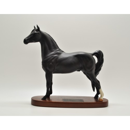 66 - Beswick Connoisseur model Morgan Stallion on wooden plinth, with plaque 'Tarryall Maestro', multiple... 