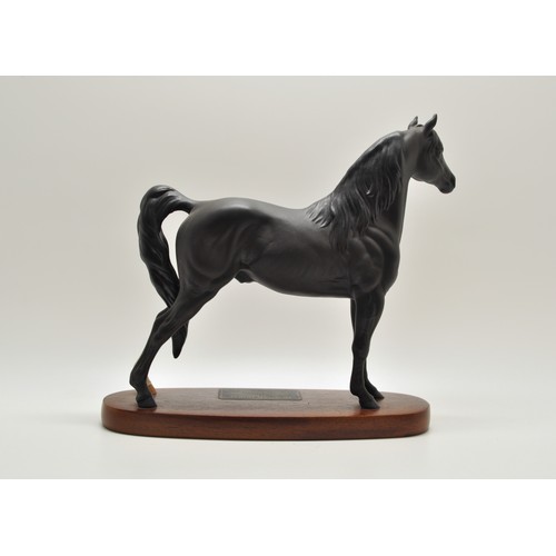 66 - Beswick Connoisseur model Morgan Stallion on wooden plinth, with plaque 'Tarryall Maestro', multiple... 