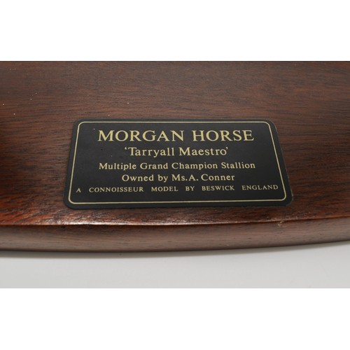 66 - Beswick Connoisseur model Morgan Stallion on wooden plinth, with plaque 'Tarryall Maestro', multiple... 