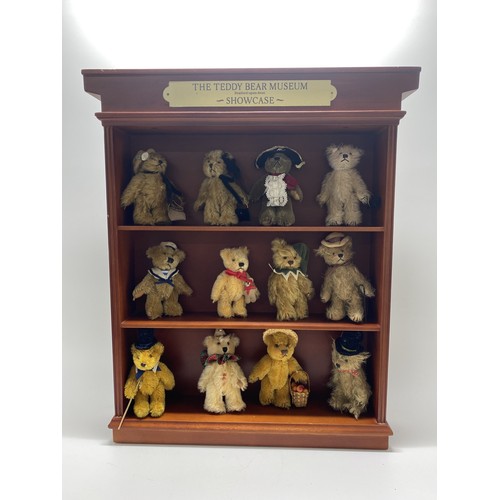 194 - The Teddy Bear Museum Showcase display cabinet containing x12 bears in varous outfits