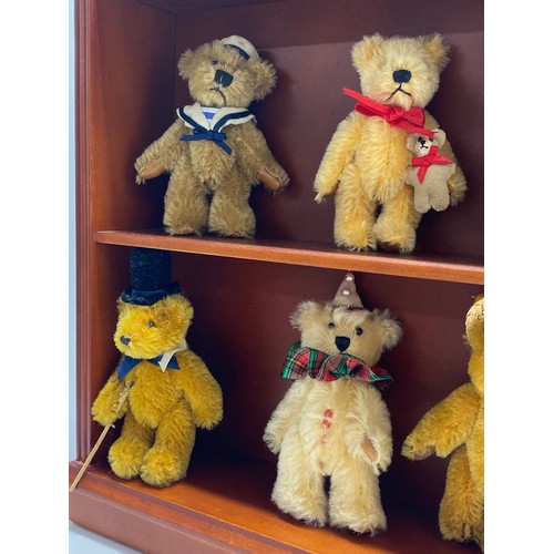 194 - The Teddy Bear Museum Showcase display cabinet containing x12 bears in varous outfits