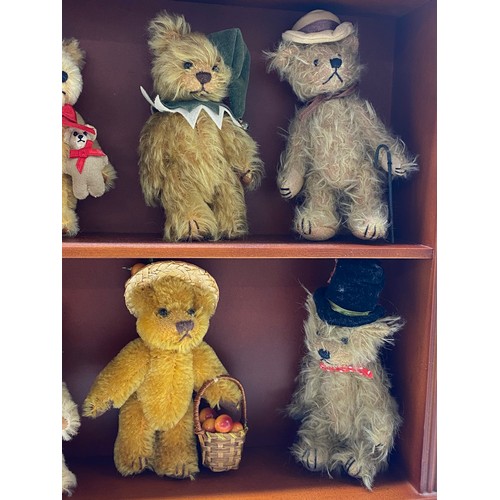 194 - The Teddy Bear Museum Showcase display cabinet containing x12 bears in varous outfits