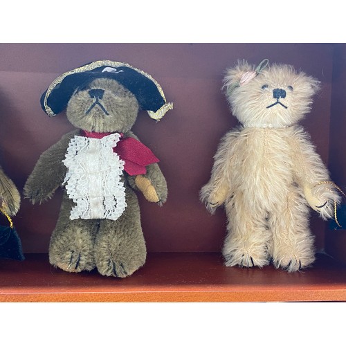 194 - The Teddy Bear Museum Showcase display cabinet containing x12 bears in varous outfits