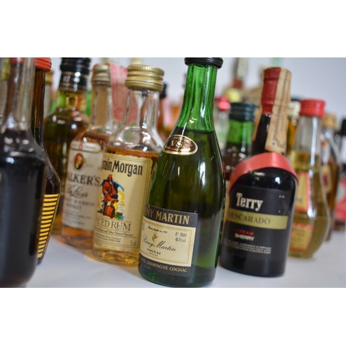 145 - An assortment of alcohol miniatures to include Vodka, Gin, Liqueurs, and whiskies