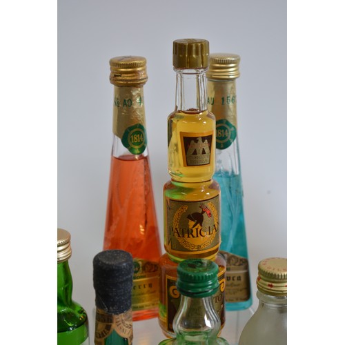 145 - An assortment of alcohol miniatures to include Vodka, Gin, Liqueurs, and whiskies