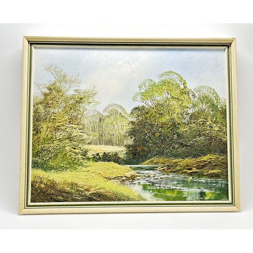 190 - Terry Evans, oil on canvas, study of a woodland river scene, signed by artist. Approx framed size  5... 