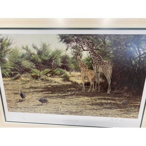 193 - Signed limited edition artwork prints by Alan M Hunt depicting African animals in their living envir... 