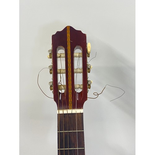 221 - Acoustic Guitar - Geisha by Rosetti Model no. 9644, String required, with carry case.