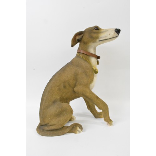 51 - Whippet figure by Leonardo 2002, approx size  H42 cms