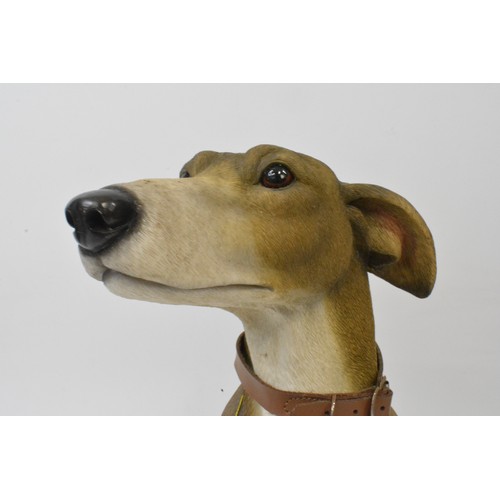 51 - Whippet figure by Leonardo 2002, approx size  H42 cms