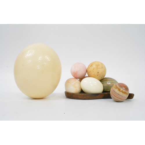 103 - Ostrich egg together with onyx and other egg