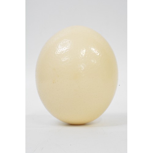 103 - Ostrich egg together with onyx and other egg