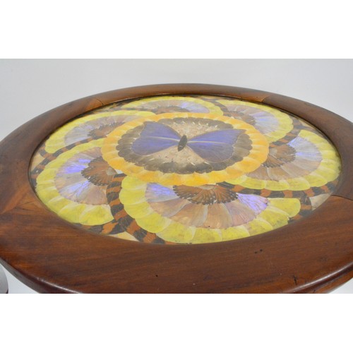 141 - Brazilian monkey puzzle tree wood, butterfly/moth wing occasional table, the circular top with an ar... 