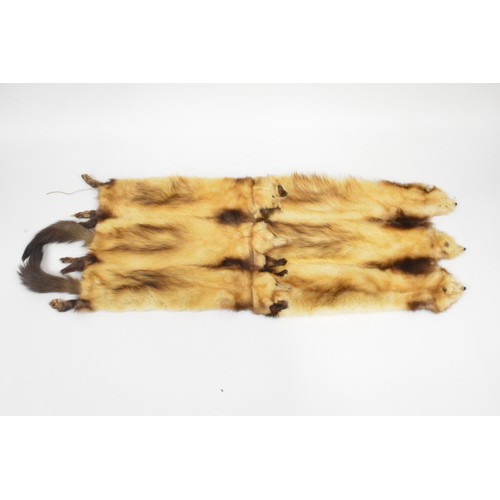 183 - Vintage mink/stoat scarf, composed of x6 piece fur