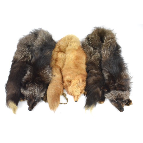 185 - Vintage Fox fur stoles, x3