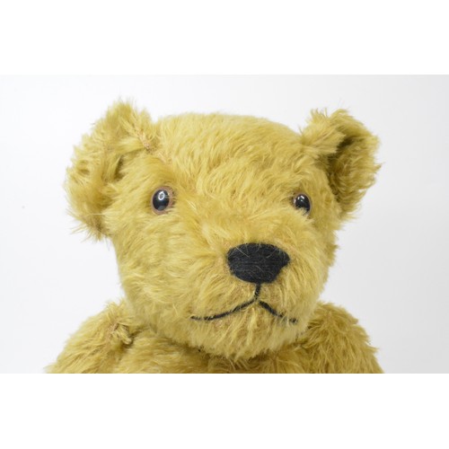 13 - Beardwell bear creation with suede pads and paws, height 46 cms [18