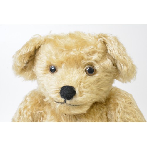 29 - Beardwell Golden bear with moveable limbs, suede paws and pads, height approx 51 cms [20