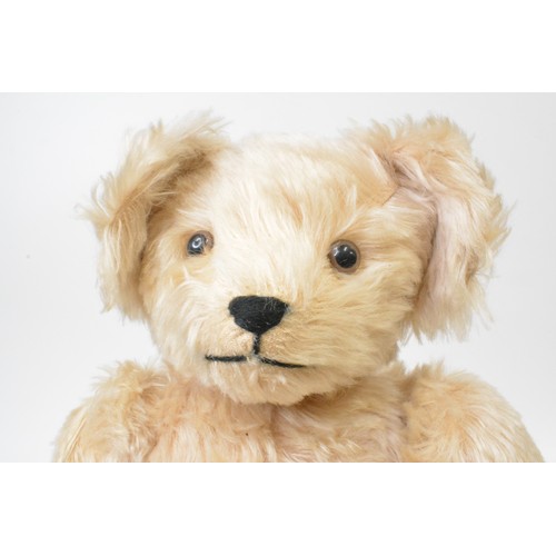 35 - Champagne coloured Beardwell bear with suede paws and pads, moveable limbs, height 48 cms [19