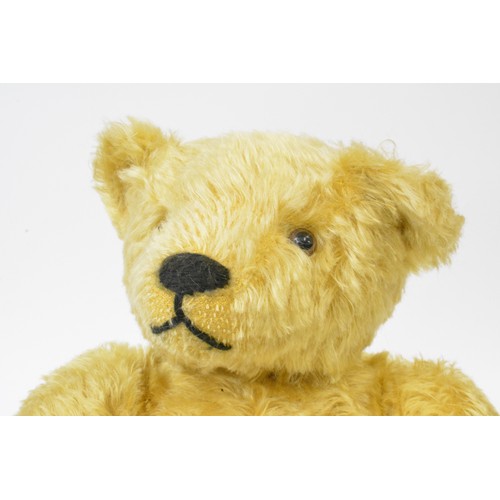 42 - Beardwell bear with suede paws and pads, height approx. 43 cms [17