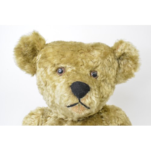 54 - Large blonde bear made and designed by B.M.Beardwell, height 62 cms {24