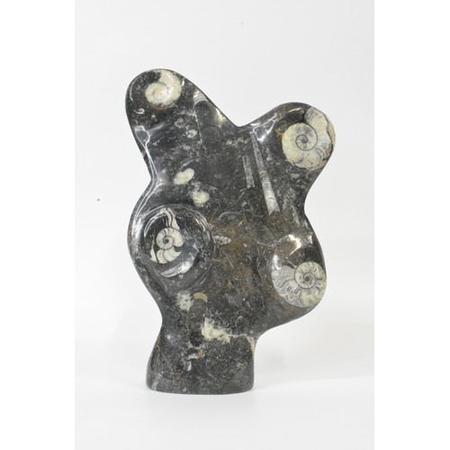 105 - Goniatite and orthoceras fossil sculpture, approx height 31cm