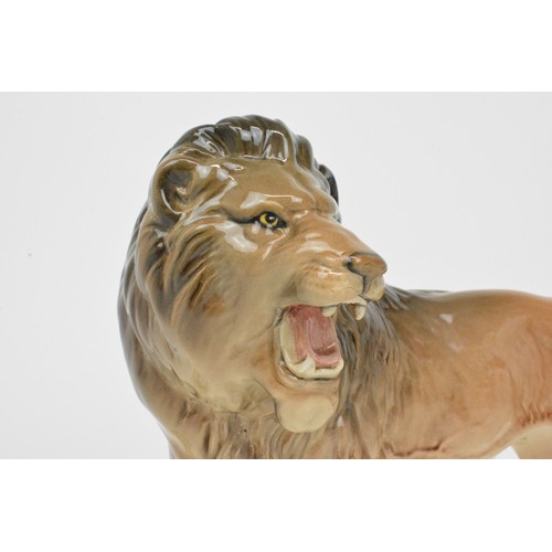 18 - Beswick large growling Male Lion in a standing position. Beswick stamp to underside. H:17cm L:28cm (... 