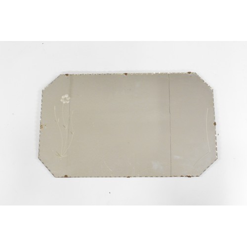 67 - x 3 oval/rectangular mirrors with flower/leaf decorations, max size approx L73cm x 45cm