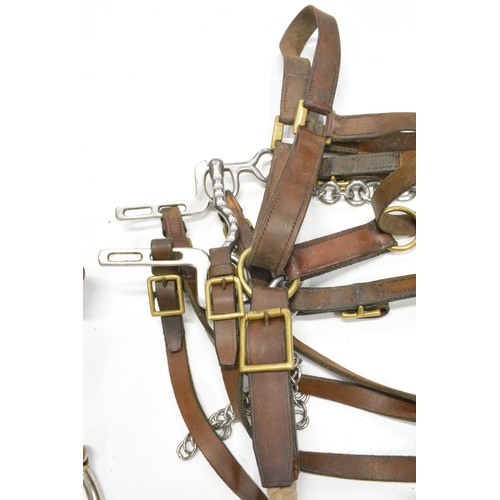 112 - Collection of Vintage Leather Equestrian Straps, Horse Bits, Riding Tackle, etc.
All Sale proceeds a... 