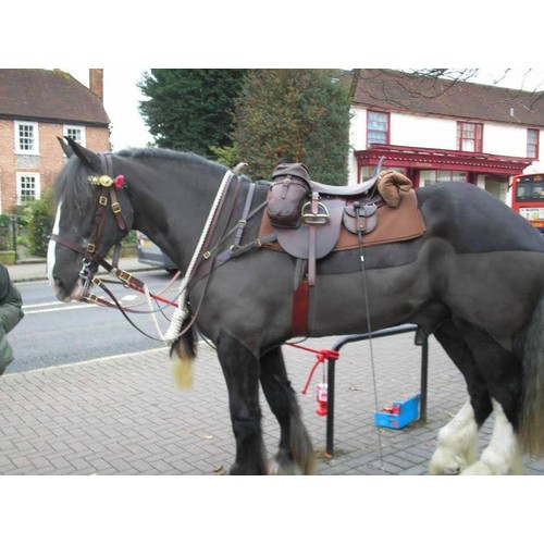 110 - H Woolley & Sons of Uttoxer military style brown leather saddle complete with saddle bags and brass ... 