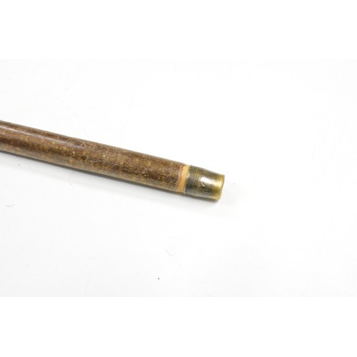 153 - American buffalo horn handled walking cane, approx L50