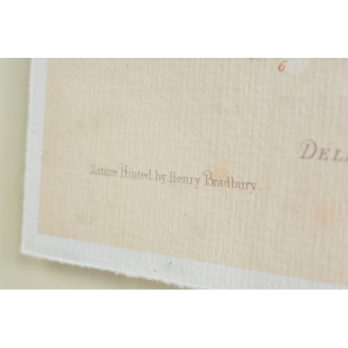 73 - Henry Bradbury 'Harvest' prints custom framed by Soicher Marin (x2). Max frame size 54cm x 44cm