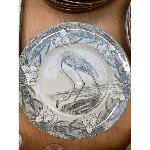 548 - Super set of The birds of America by John James Audobons collectors plate. All Different with images... 