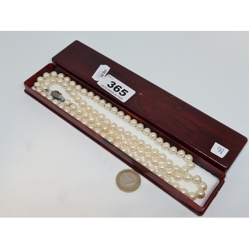 365 - Good set of cultured pearls with an art deco style marcasite clasp.
