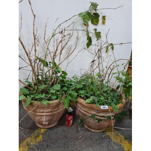 83 - Two large Heavy Terracoota plant pots with lion mask faces in relief.