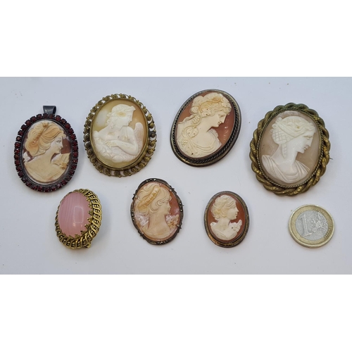 236 - Selection of Brooches inc 6 shell cameo examples with 3 Silver cameos. 7 all together.