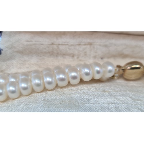 15 - Lovely set of double strand cultured pearls wit a 9ct Gold clasp and an oyster shaped box. Super qua... 