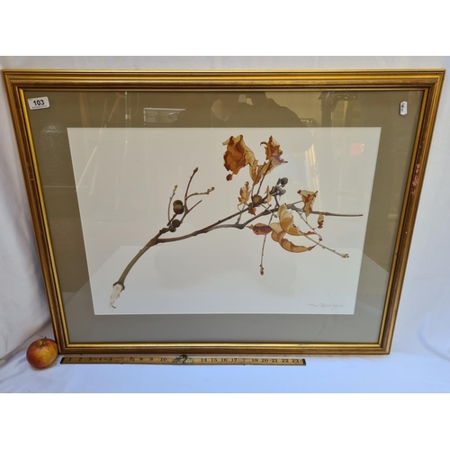 103 - Large Limited edition Print of Patricia Jorgensen painting of an autumnal branch. Edition 228/500. S... 