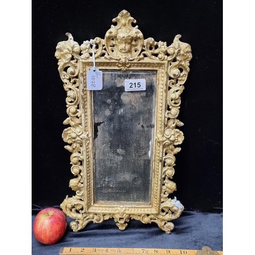 215 - Antique mirror in cast metal frame, Very distressed mirror plate. Mirror measures 28.5cm x 12cm.