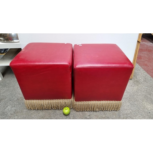 480 - A Pair Of Very Decorative Red Leather Foot Stools With Gold Fringes.