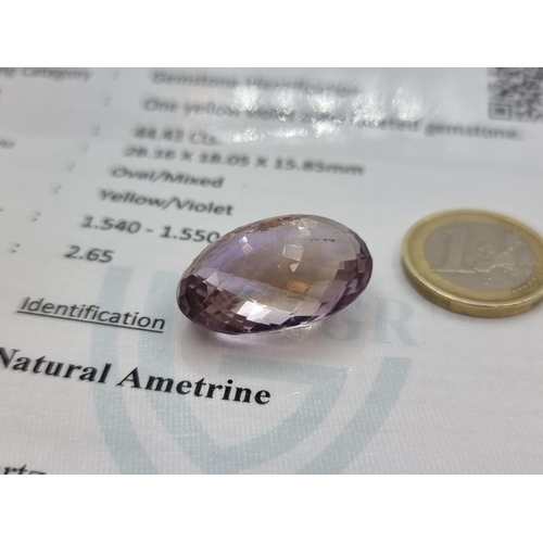 718 - Large natural Amerite 44.43cts with a yellow and violet hue. With an ITLGR cert