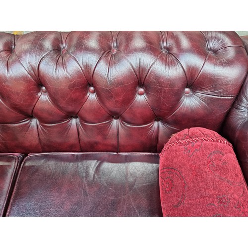 496 - A Super 3 Seater Ox Blood Chesterfield Couch, With Button Rolled back in good order