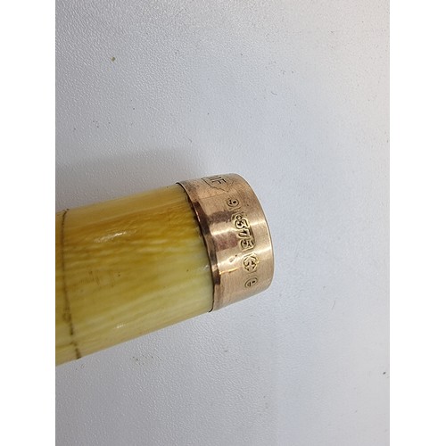 429 - A bone cheroot holder with 9 carat gold end.  fitting with leather case.